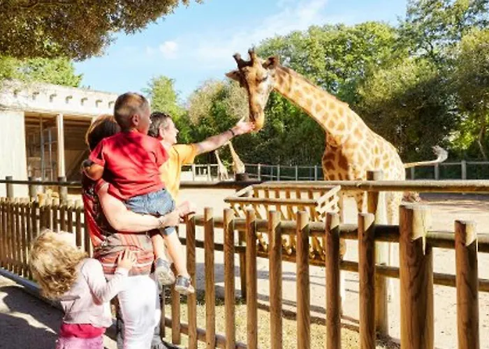 Renove Face A La Avec Balcon Et Garage - Fr-1-92-948